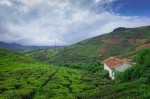 Beautiful view of the green valley in Coorg Beautiful view of the green valley in Coorg